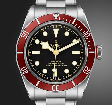 mayor rolex